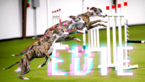 Evie Card_Large