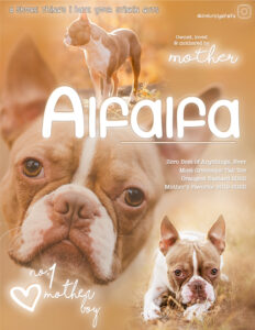 Half Spread _ Alfie _ 1 (1)