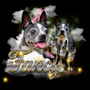 RIP FANCY