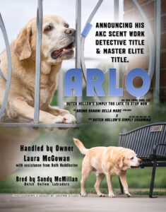 ARLO AD