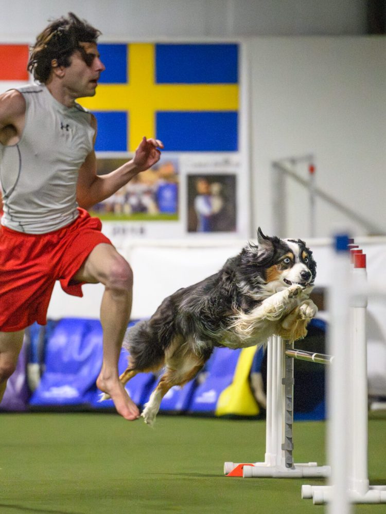 2024 02 cdca uki agility teaser-5